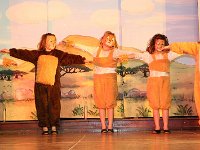 IMG 4296