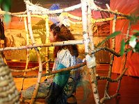 IMG 4342