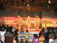 IMG 4375