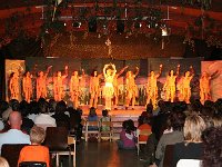 IMG 4382