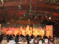 IMG 4384