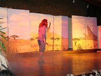 IMG 4385