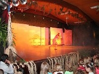 IMG 4387