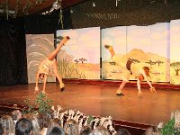 IMG 4399