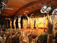 IMG 4454