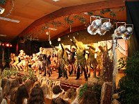 IMG 4471