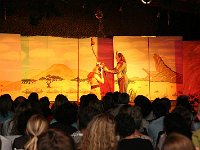 IMG 4480