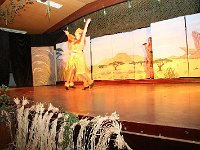IMG 4501