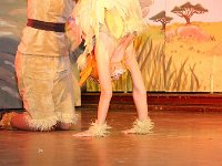 IMG 4504