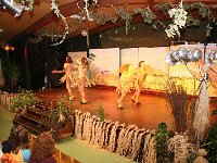 IMG 3037