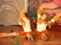 IMG 3081