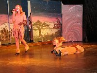 IMG 3128