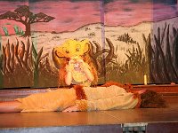 IMG 3129