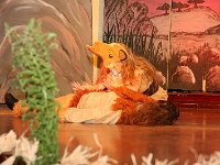 IMG 3132