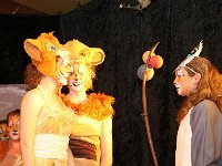 IMG 3320