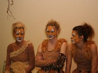 IMG 3373