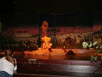 IMG 3488