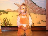IMG 3502