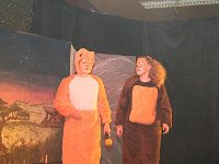 IMG 3600
