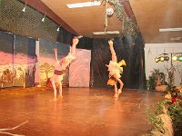 IMG 3611