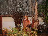 IMG 3680