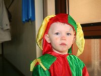 IMG 9498