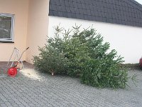 IMG 8769