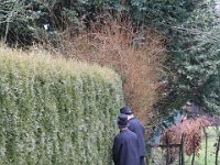 IMG 8774