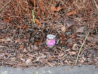 IMG 8778