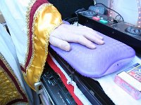 IMG 8266