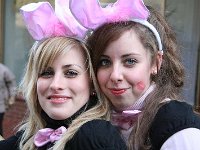 IMG 8561