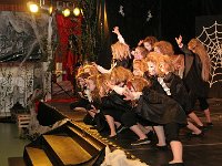 IMG 5169