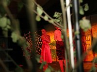 IMG 5248