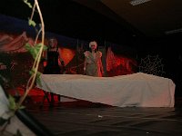 IMG 5330