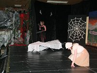 IMG 5335