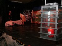 IMG 5336