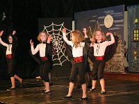 IMG 5428