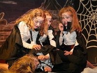 IMG 5502