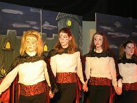 IMG 5595