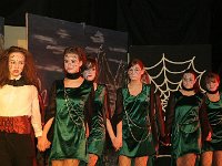 IMG 5597