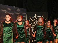IMG 5598