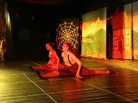IMG 6348