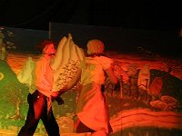 IMG 6356