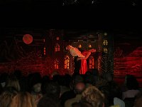 IMG 6560