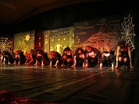IMG 6729