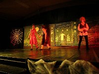 IMG 6740