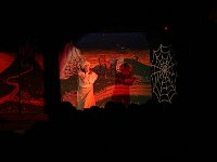 IMG 6898