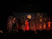 IMG 7005