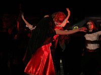 IMG 7019