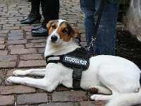 IMG 4670